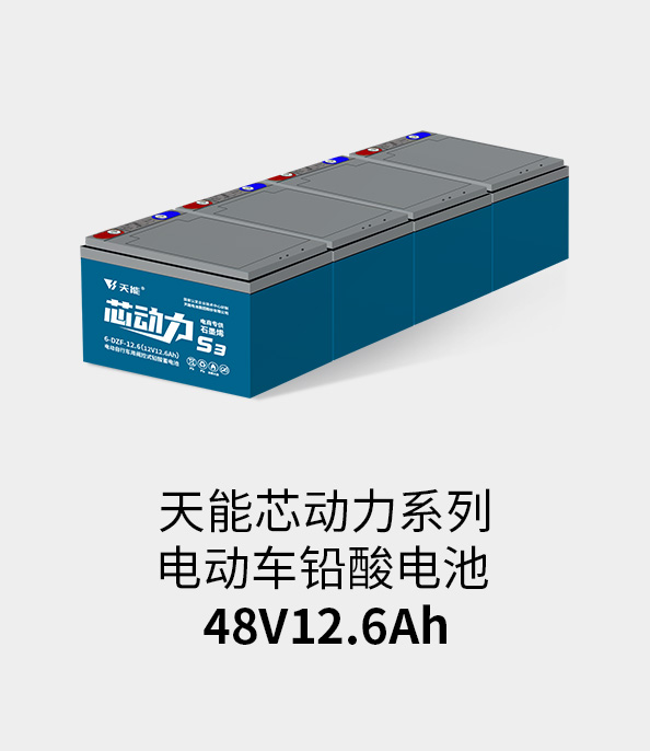 918博天堂电池48v12ah